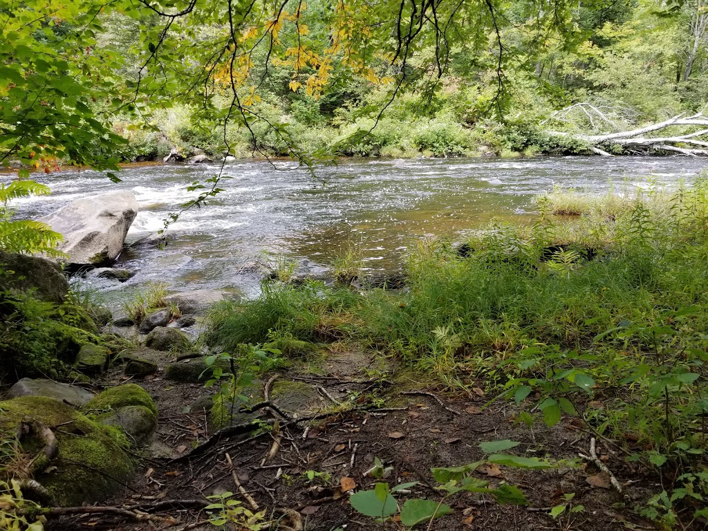 Silvio O. Conte National Fish and Wildlife Refuge - Nulhegan Bas | 5396 VT-105, Brunswick, VT 05905, USA | Phone: (802) 962-5240
