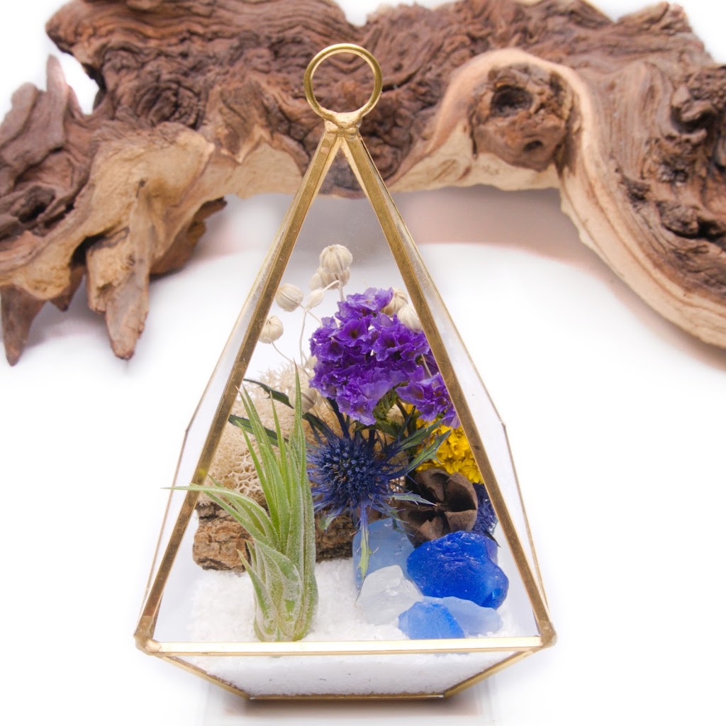Plant Babies Terrariums | 7905 Rue Tellier, Montréal, QC H1L 6N9, Canada | Phone: (514) 561-7508