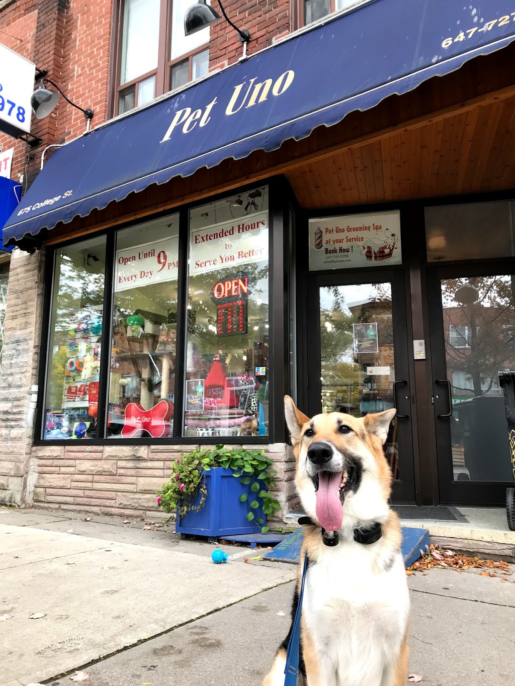 Pet Uno 675 College St Toronto On M6g 1b9 Canada