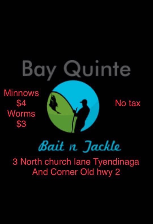 Bay Quinte Bait N Tackle | 3 N Church Ln, Tyendinaga, ON K0K 1X0, Canada | Phone: (613) 847-5514