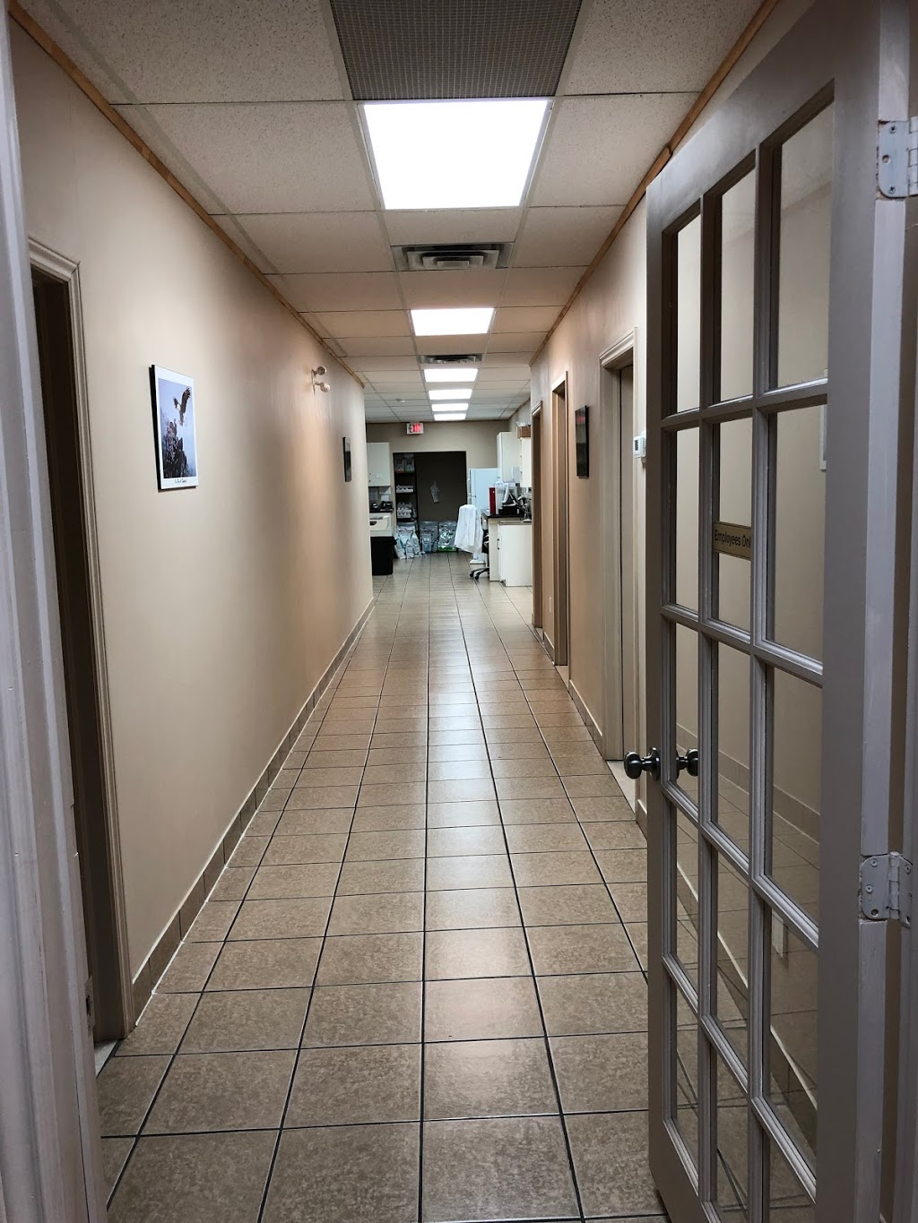 Fallsview Veterinary Clinic | 6144 McLeod Rd, Niagara Falls, ON L2G 7P5, Canada | Phone: (289) 296-2172