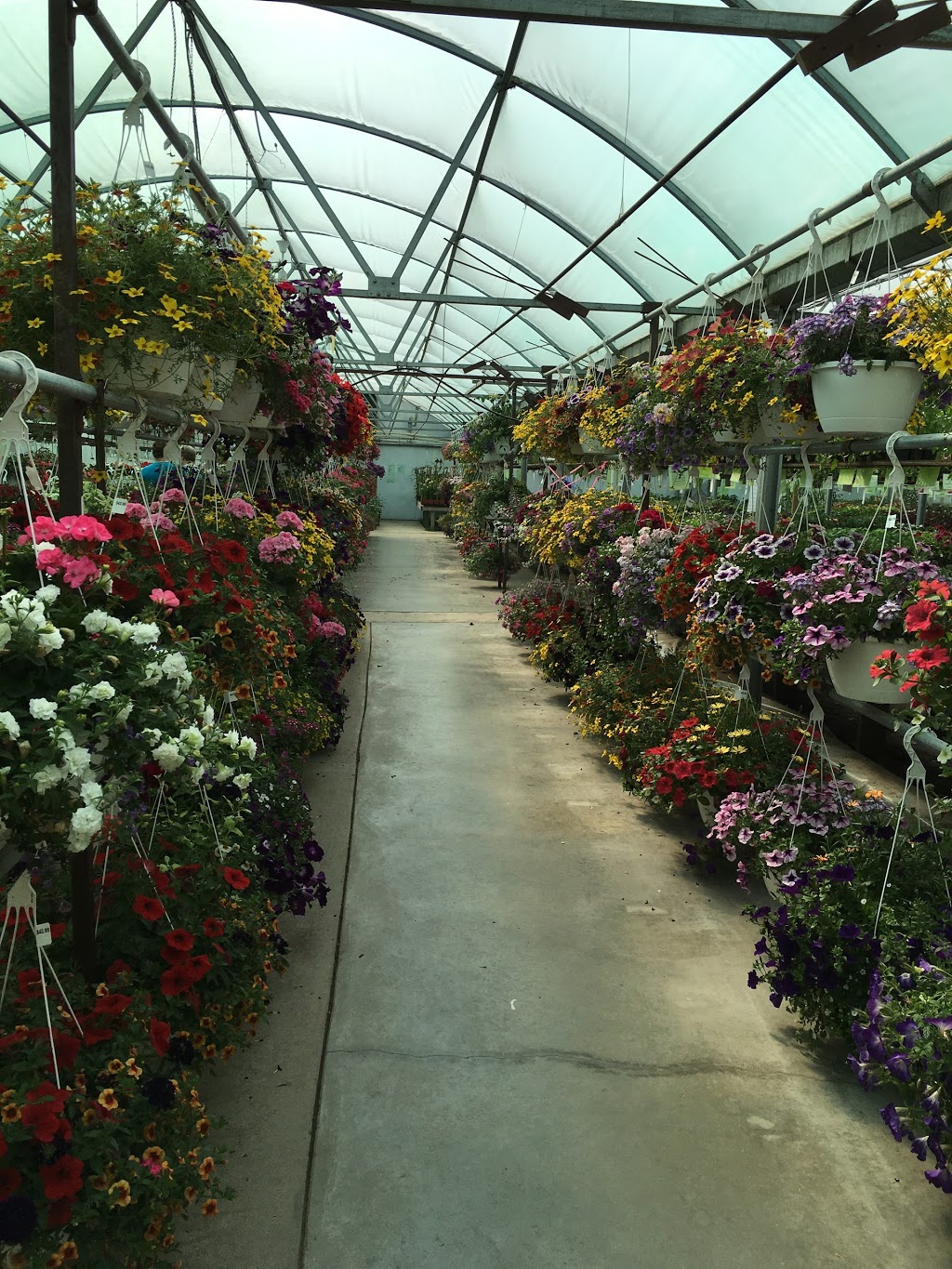 Hi-Way Greenhouse Ltd | 2001 11th St W, Saskatoon, SK S7M 4A7, Canada | Phone: (306) 382-0077