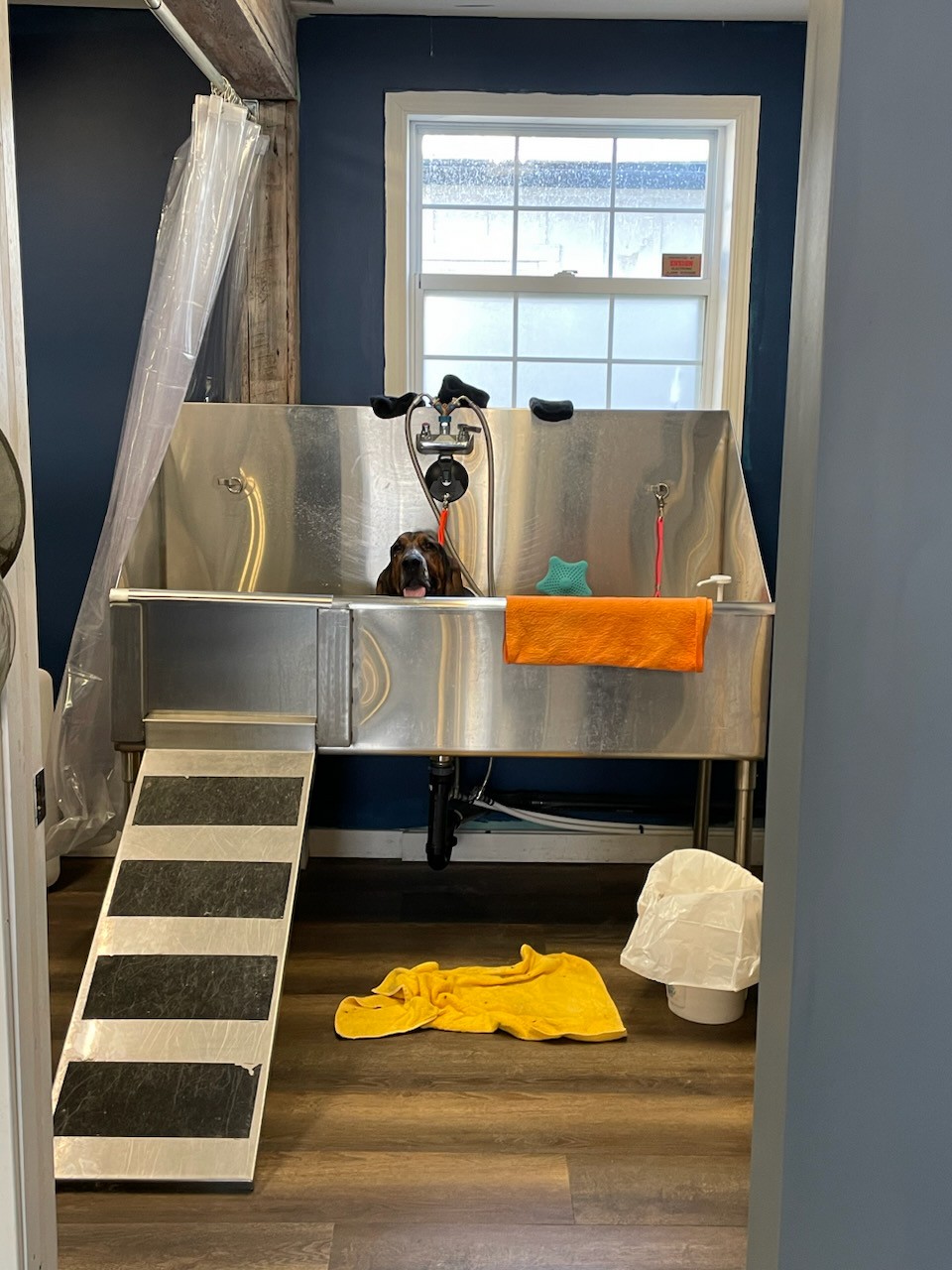 The Canine Cartel | 3776 Nineteenth St, Jordan Station, ON L0R 1S0, Canada | Phone: (905) 328-0559