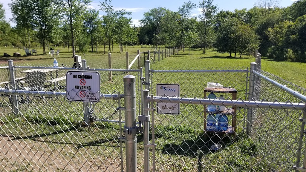 Scugog Animal Control Centre | Port Perry, ON L9L 1B2, Canada | Phone: (905) 985-9547