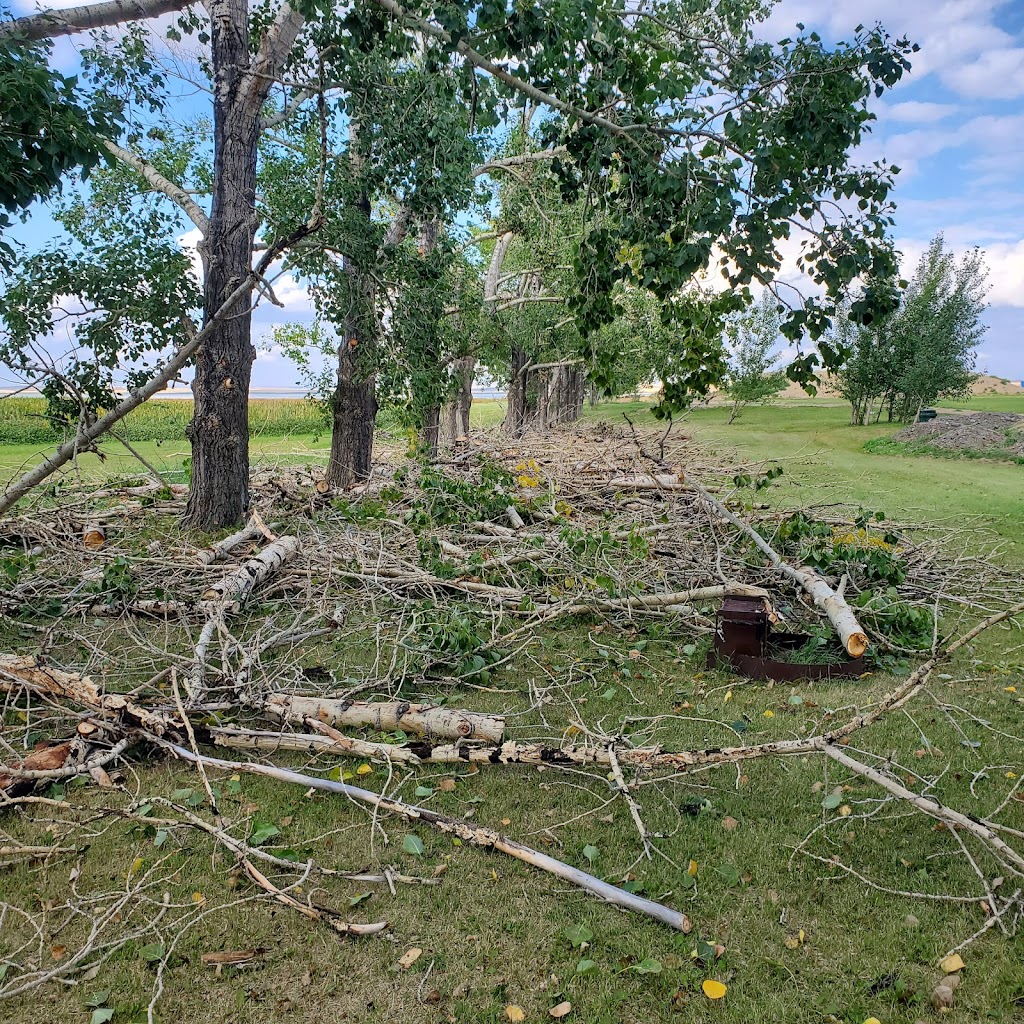 Positive Pruning & Maintenance | Strathford Pl, Strathmore, AB T1P 1S4, Canada | Phone: (403) 608-4762