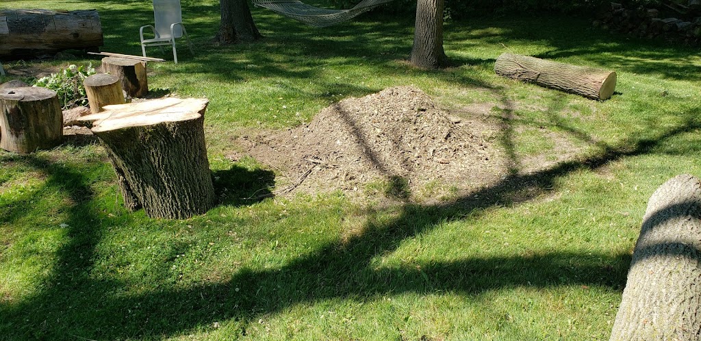 Woodchuck Stump Grinding | 111 King St E, Hagersville, ON N0A 1H0, Canada | Phone: (905) 531-0586