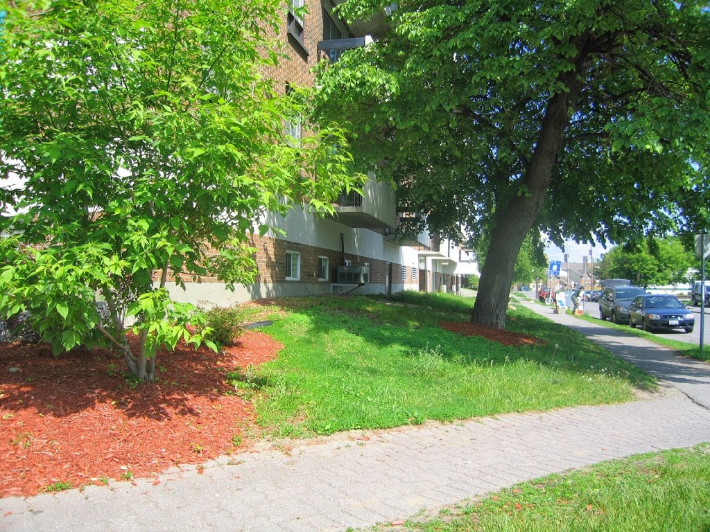 International Academy Health Education | 380 Forest St, Ottawa, ON K2B 8E6, Canada | Phone: (613) 820-0318