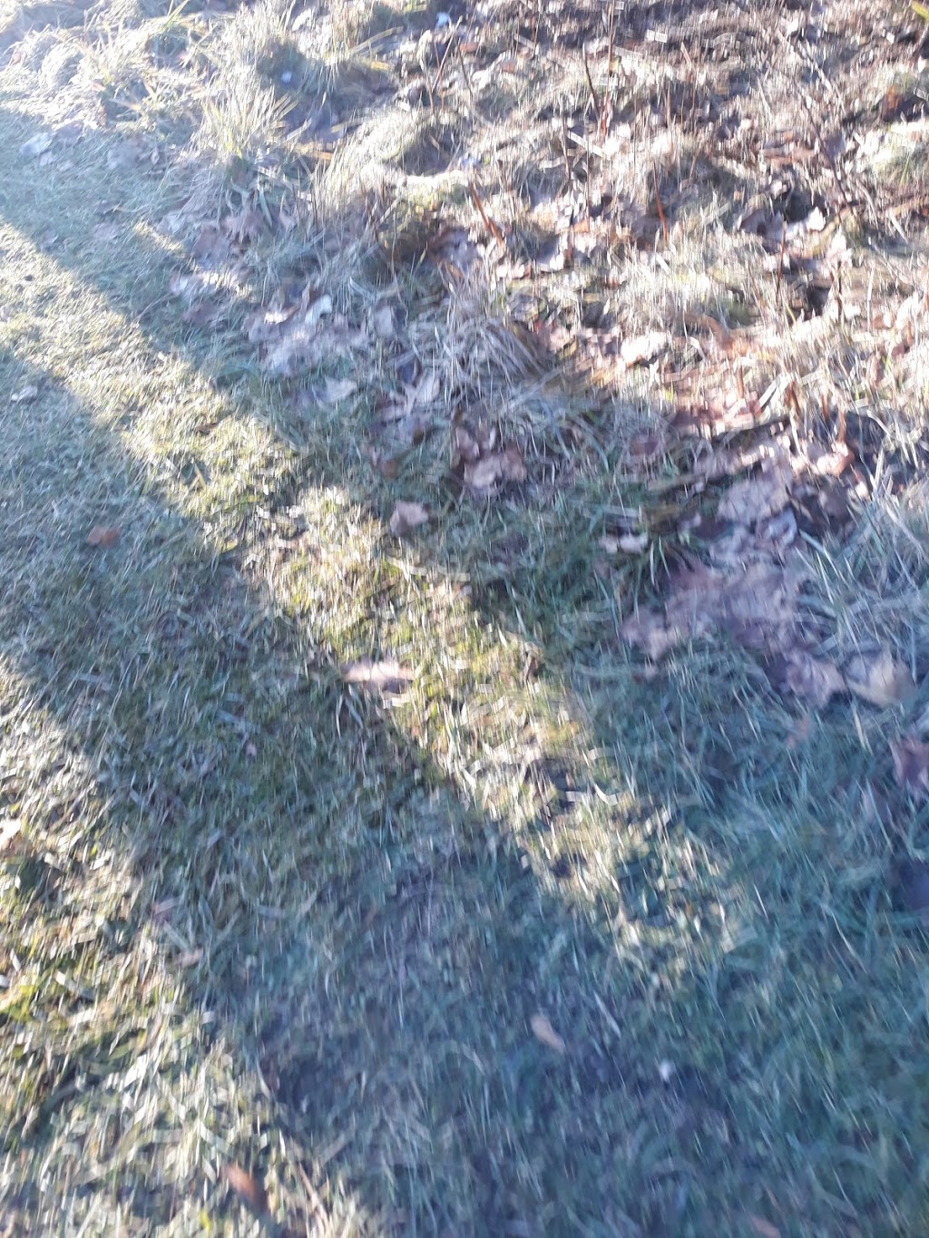 Listowel Kinsmen Park | 3V4, 655 Louise Ave N, Listowel, ON N4W 1J5, Canada