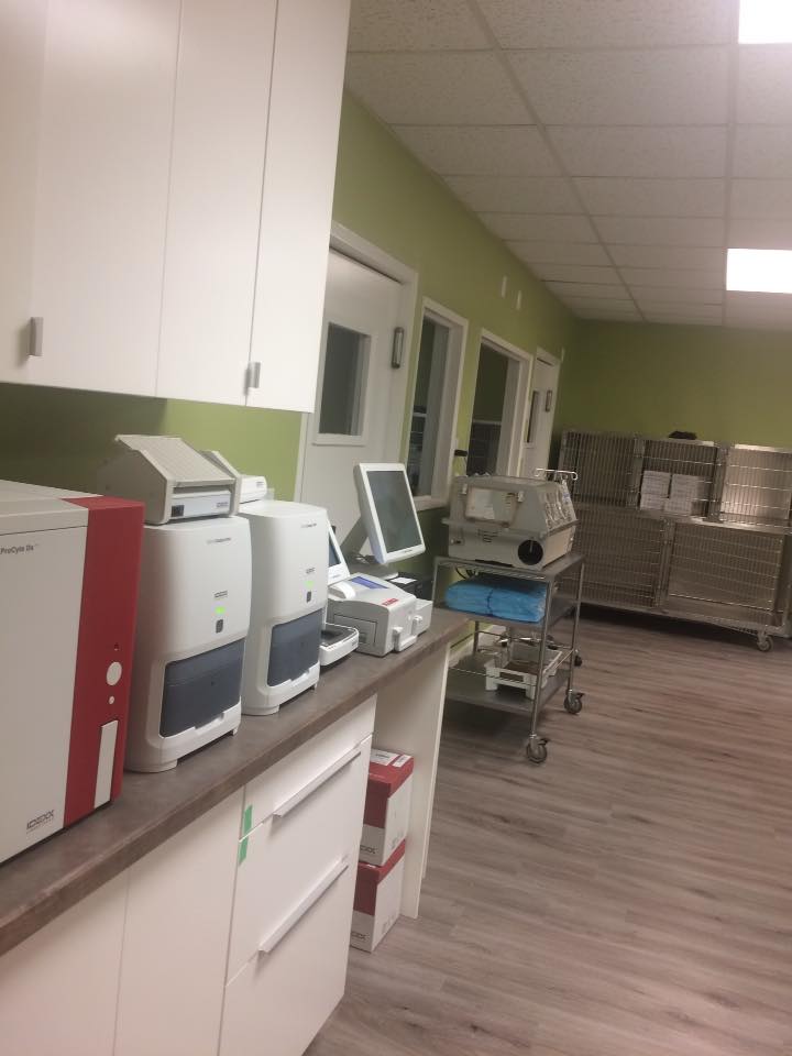 SAVE - Southern Alberta Veterinary Emergency | 322233 15th Street East, Okotoks, AB T1S 1A6, Canada | Phone: (403) 995-3270
