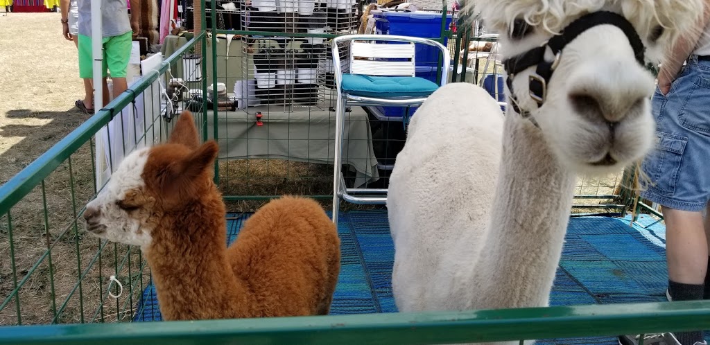 Thornbury Farmers Market | Beside Municipal Town Hall, 30 Mill St, Thornbury, ON N0H 2P0, Canada | Phone: (519) 924-0777