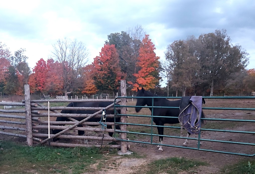 Sherwood Farms | 4419 Kilkenny Rd, Lyn, ON K0E 1M0, Canada | Phone: (613) 556-0466