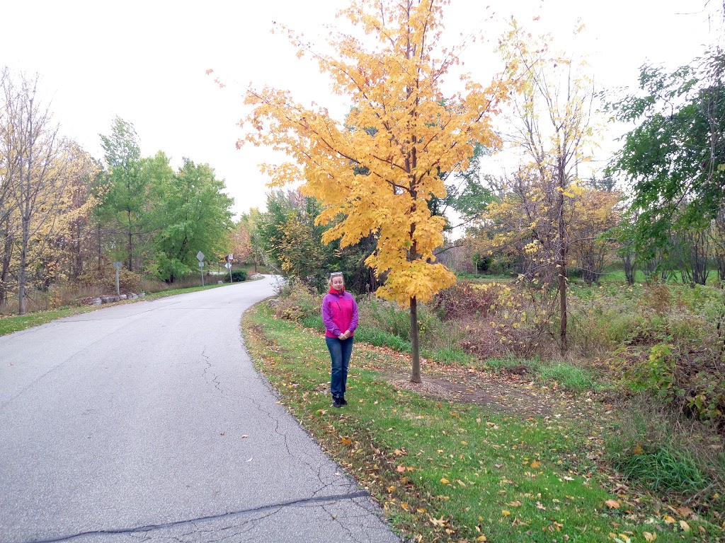 Credit Valley Conservation Authority | 1255 Old Derry Rd, Mississauga, ON L5N 6R4, Canada | Phone: (800) 668-5557