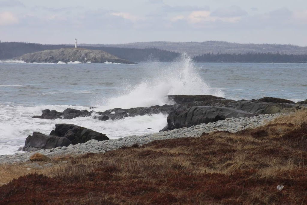 Sober Island Boat Tours | 73 Levys Rd, Sheet Harbour, NS B0J 3B0, Canada | Phone: (902) 817-5389