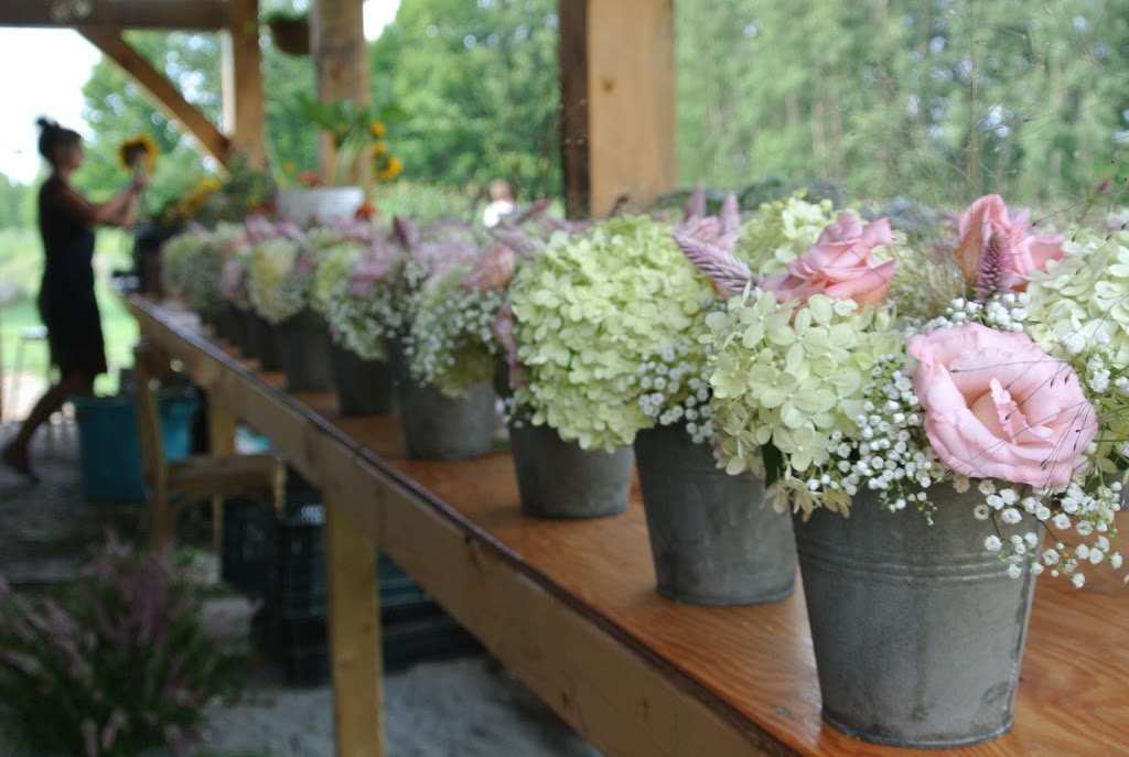 Sylvias 4th Line Florals | 2172 Upper Fourth Concession Bathurst, Perth, ON K7H 3C9, Canada | Phone: (613) 267-7365