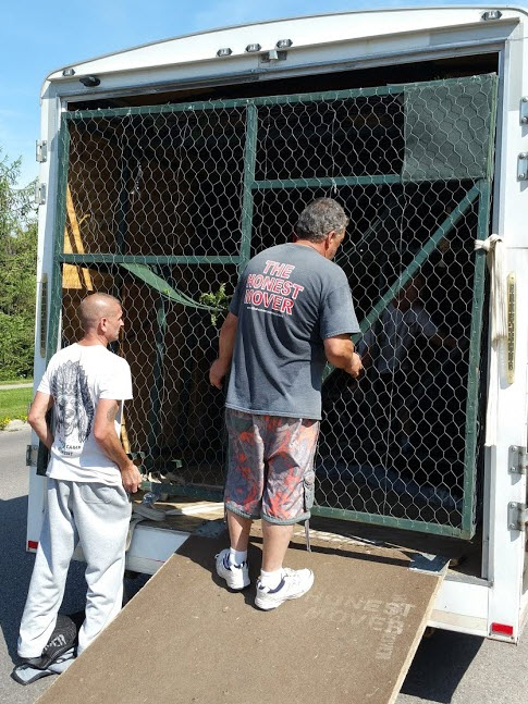Honest Mover | 210 St Peter St, Whitby, ON L1N 1J3, Canada | Phone: (905) 665-0448