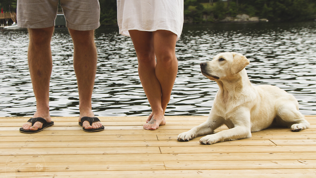 Murphy’s Dock Services | 2662 25th Side Rd, Innisfil, ON L9S 3T4, Canada | Phone: (289) 926-1087