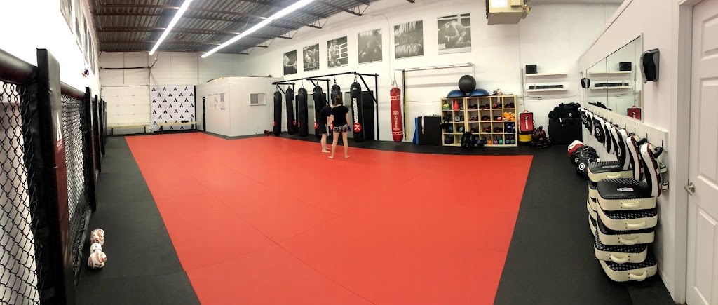 Brave Martial Arts Institute Inc. | 2161 Thurston Dr, Ottawa, ON K1G 6C9, Canada | Phone: (613) 319-7951