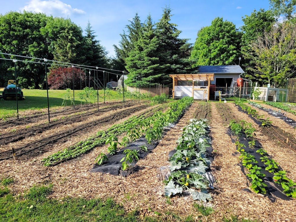 Ferme Willika inc. | 63 Chem. des Prés, Rigaud, QC J0P 1P0, Canada | Phone: (514) 880-2742