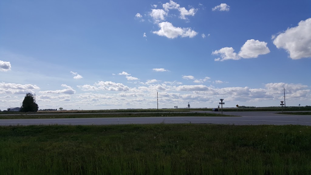 Kackenhoff Nurseries Ltd | 1317 hwy 75, Howden, MB R5A 1J9, Canada | Phone: (204) 269-1377