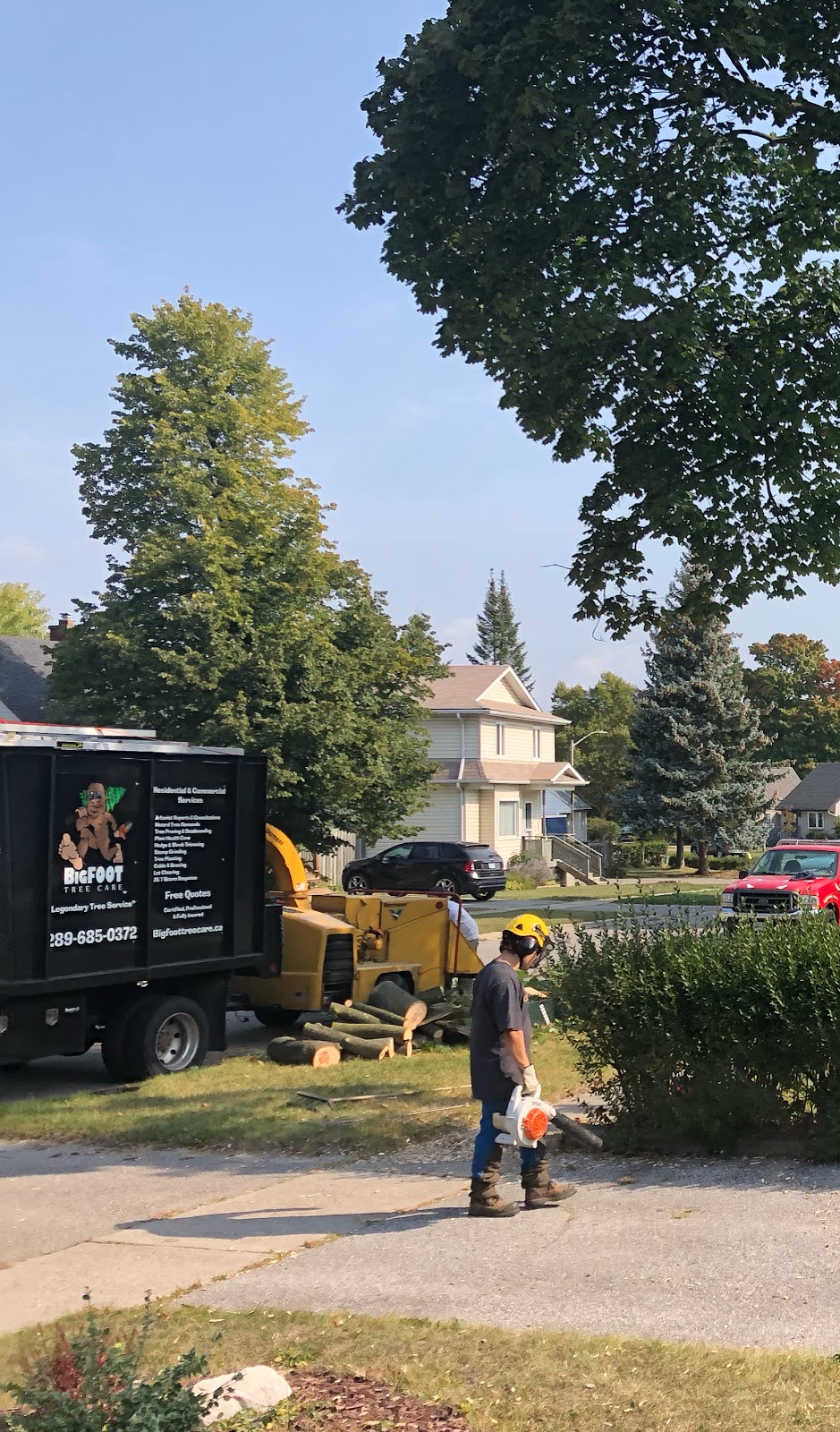 Bigfoot Tree Care | 17 Homestead Rd, Pontypool, ON L0A 1K0, Canada | Phone: (289) 685-0372