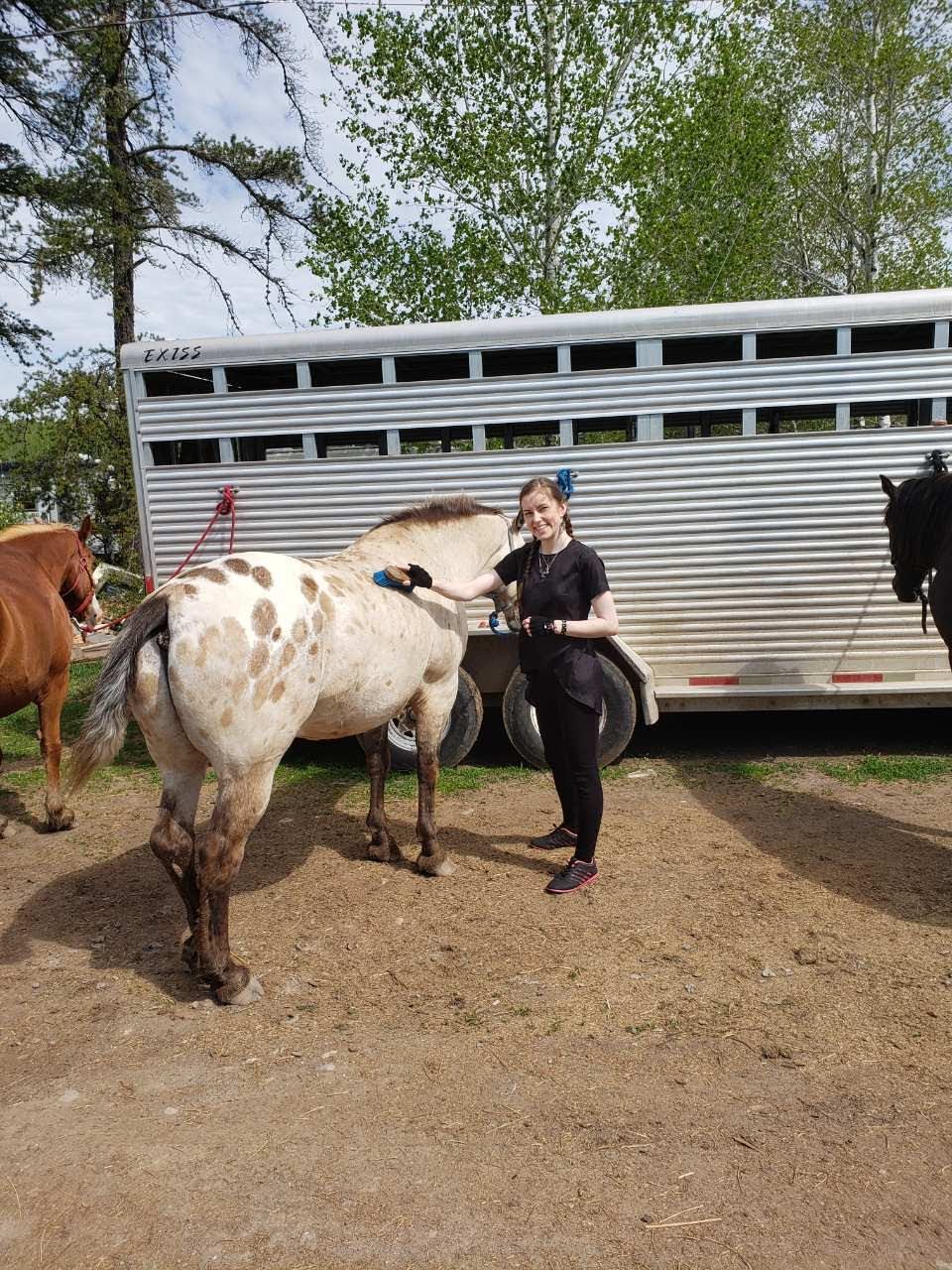 Whispered Dreams Ranch | Shabaqua Corners, Shebandowan, ON P0T 2T0, Canada | Phone: (807) 933-0467