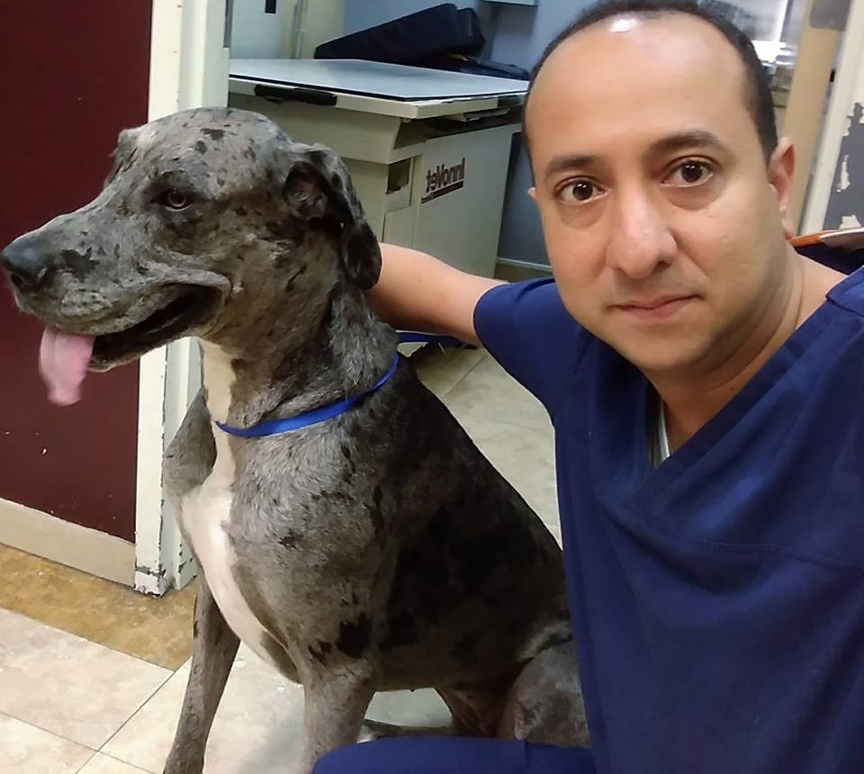 Truscott Animal Hospital | 2425 Truscott Dr, Mississauga, ON L5J 2B4, Canada | Phone: (905) 916-8999