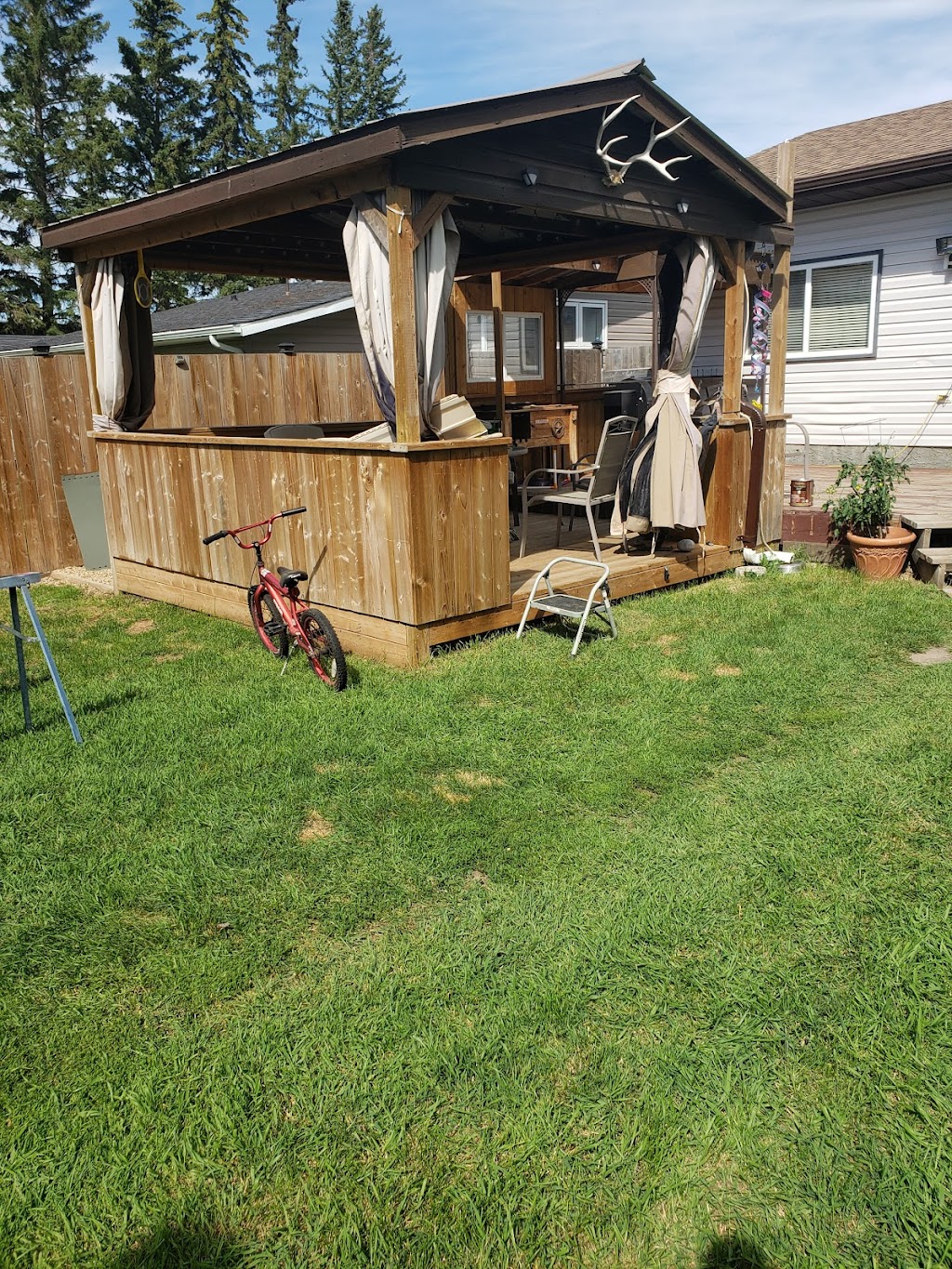 Papa Dog Services | 5018 56 St, Killam, AB T0B 2L0, Canada | Phone: (780) 385-4347