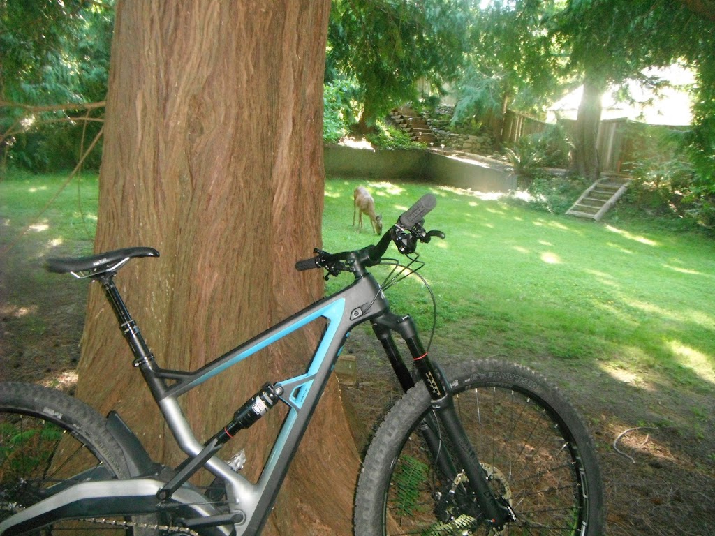 Island Cycle | 114 Hirst Ave E #5, Parksville, BC V9P 2G9, Canada | Phone: (250) 248-0647