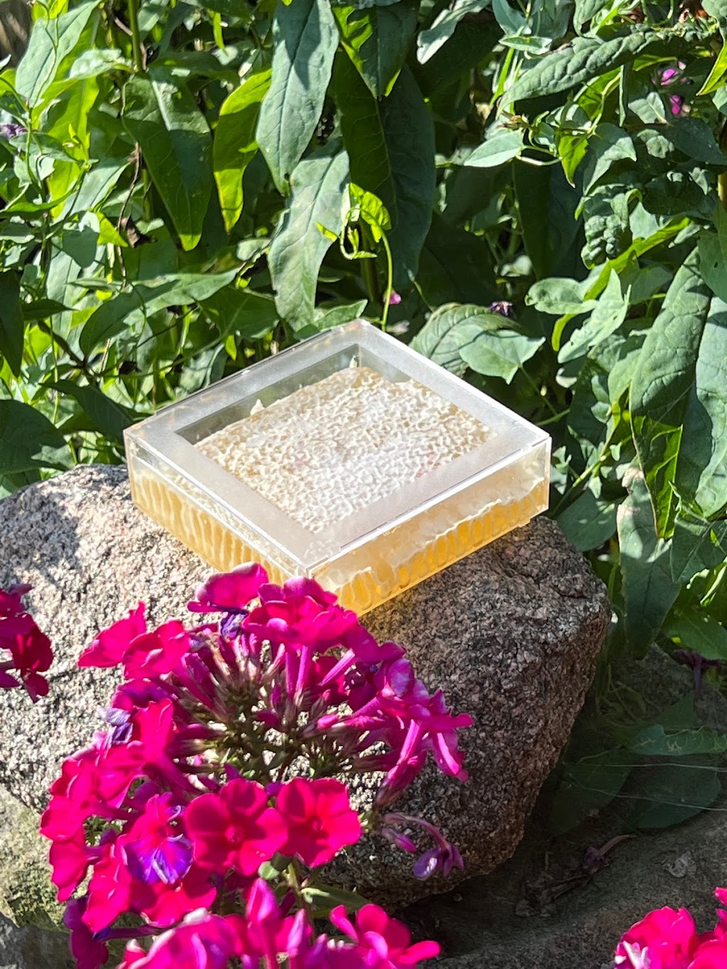 Fielding Bees | 41803 Hydro Line Rd, Seaforth, ON N0K 1W0, Canada | Phone: (519) 525-8112