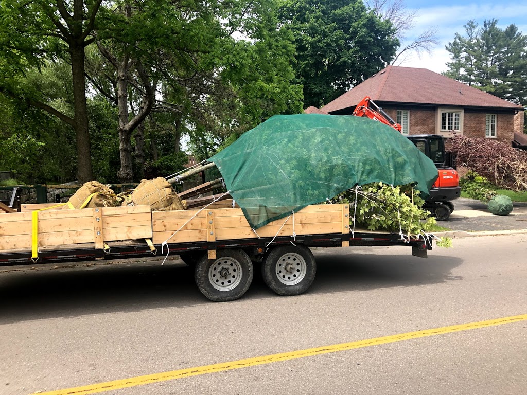 RTE Stump Grinding And Tree Services | 5269 Steeles Ave W, Milton, ON L9E 0R6, Canada | Phone: (905) 699-5029