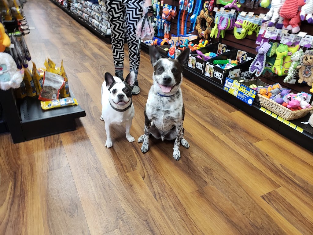 Pet Valu | 1660 Bloor St W, Toronto, ON M6P 1A8, Canada | Phone: (416) 537-9240