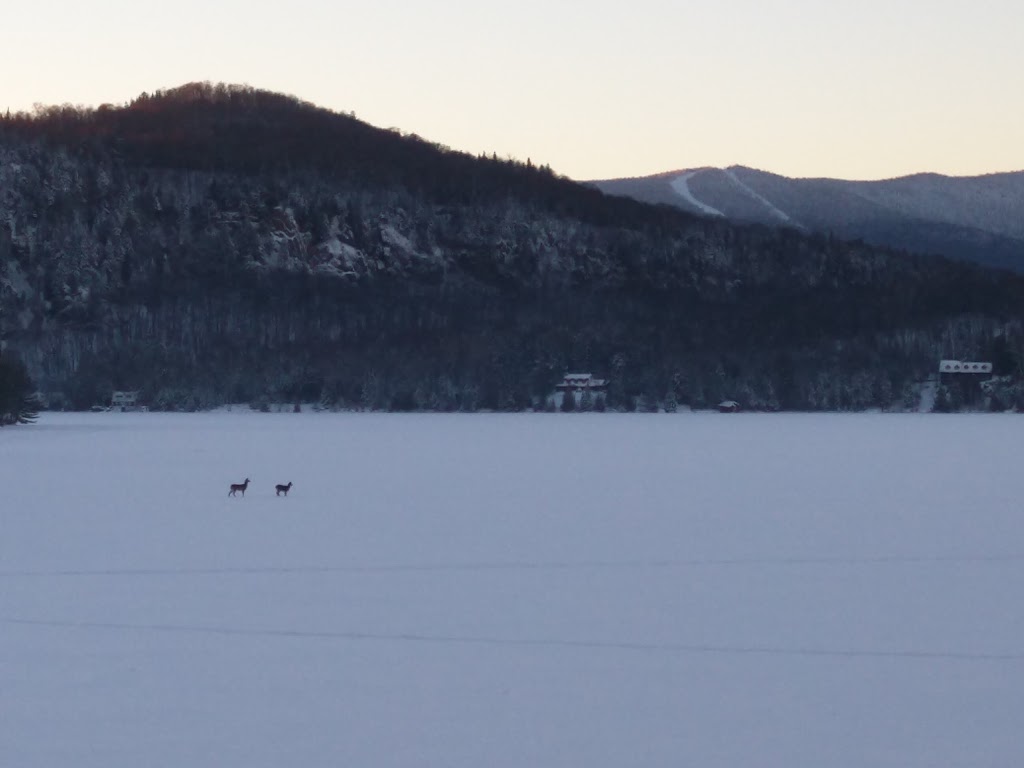 Cote Nord Tremblant | 210 Chemin Des Ecorces, Lac-Supérieur, QC J0T 1P0, Canada | Phone: (888) 624-6097