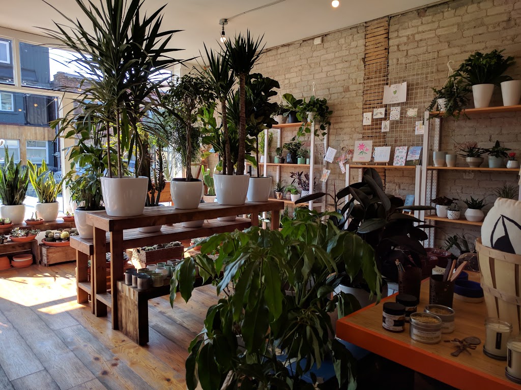 Urban Gardener | 1640 Dupont St, Toronto, ON M6P 3T2, Canada | Phone: (905) 626-6281