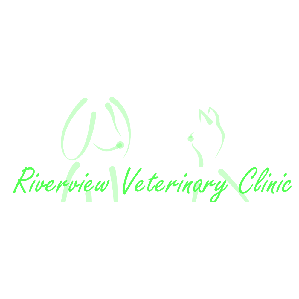 Riverview Veterinary Clinic | 102 Erie St S, Devon, AB T9G 2J4, Canada | Phone: (780) 987-4838