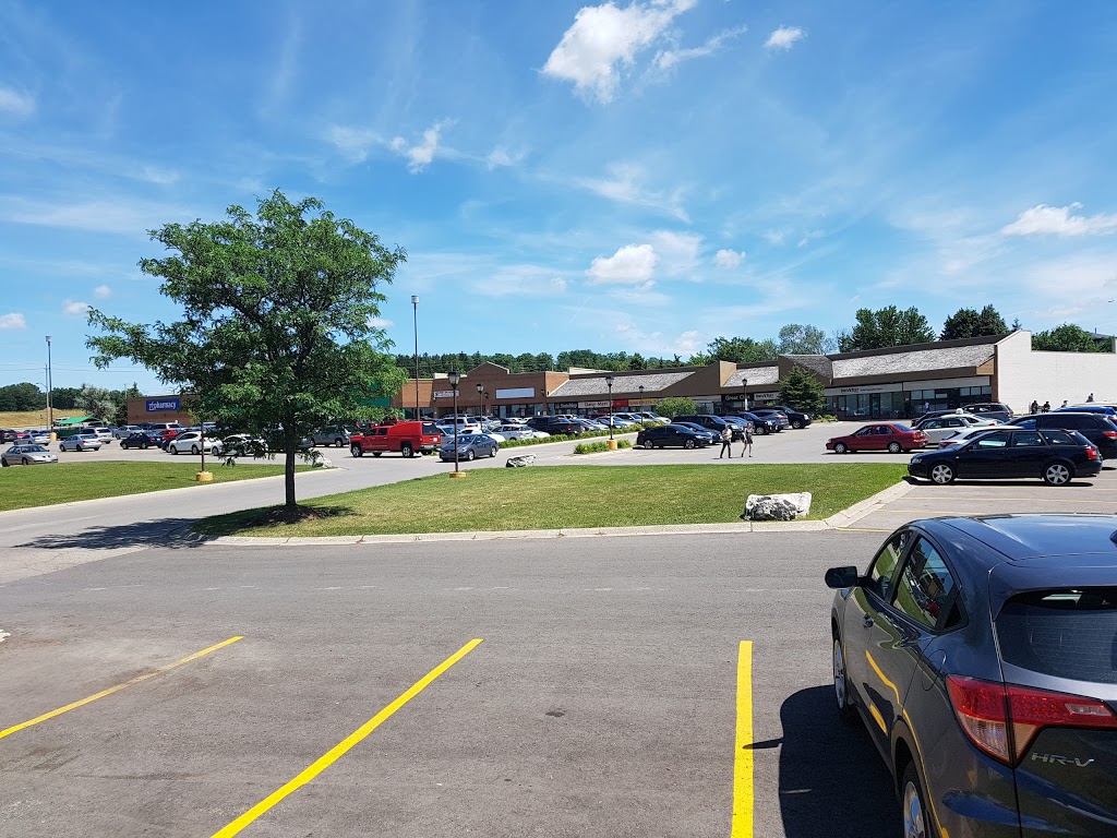 Lackner Centre | 1405 Ottawa St N, Kitchener, ON N2A 3Z1, Canada | Phone: (866) 563-9200