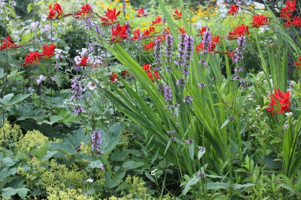 Centre du Jardin Hortiko | 266 Chemin des Fondateurs, La Minerve, QC J0T 1S0, Canada | Phone: (819) 274-2367