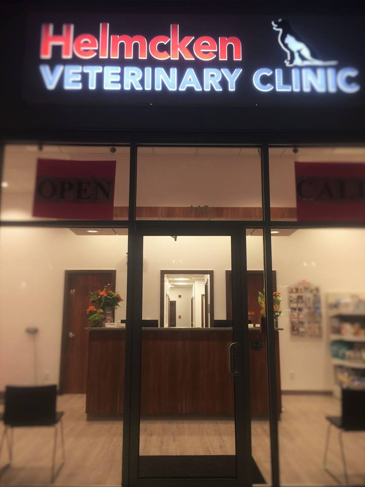 Helmcken Veterinary Clinic | 110-19 Helmcken Rd, Victoria, BC V8Z 5G5, Canada | Phone: (778) 265-6133