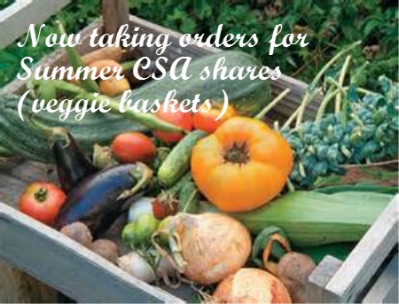 Edible Acres | 21083 Purple Hill Rd, Thorndale, ON N0M 2P0, Canada | Phone: (519) 520-0175