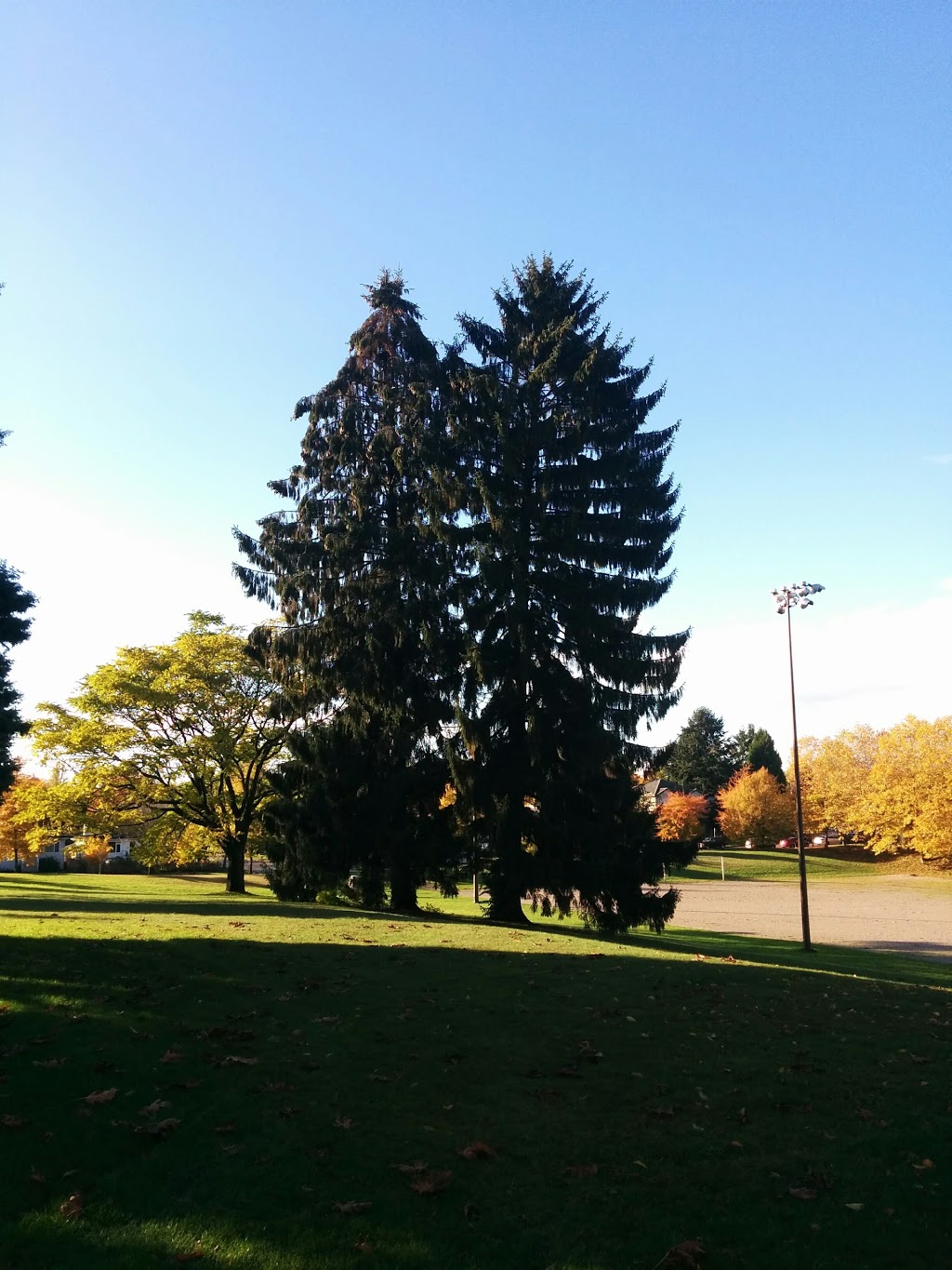 Beaconsfield Park | 3215 Slocan St, Vancouver, BC V5M 3E4, Canada | Phone: (604) 257-8158