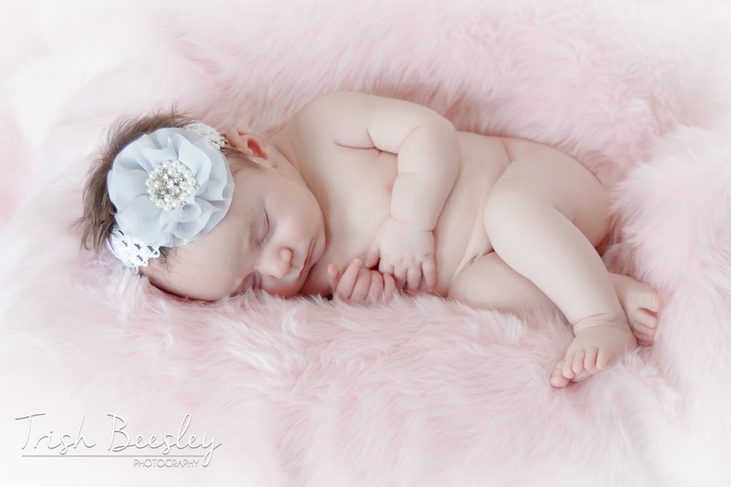 Trish Beesley Photography & Graphic Design | 3A King St S Unit 3, Cookstown, ON L0L 1L0, Canada | Phone: (416) 476-7812