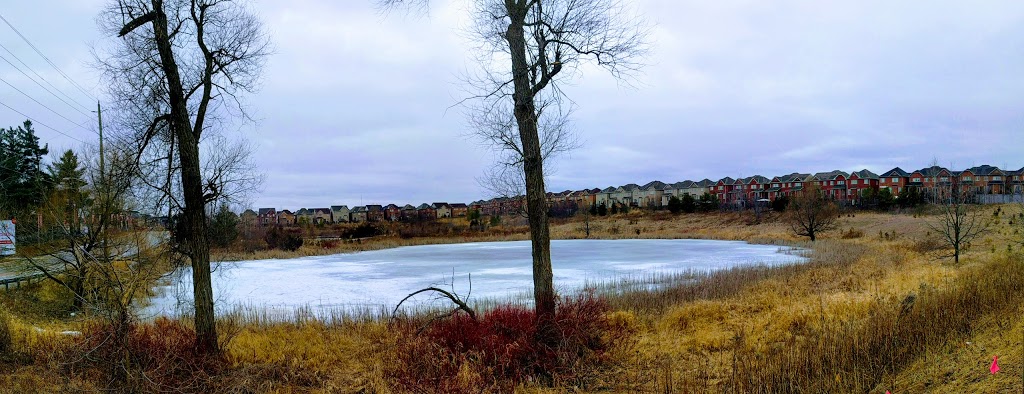 Macleods Landing Park | 213 Shirrick Dr, Richmond Hill, ON L4E 4Y4, Canada | Phone: (905) 771-8800