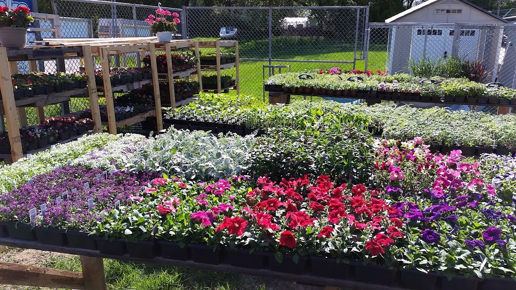 Asselstine Hardware | 6826 Road 38, Verona, ON K0H 2W0, Canada | Phone: (613) 374-3400