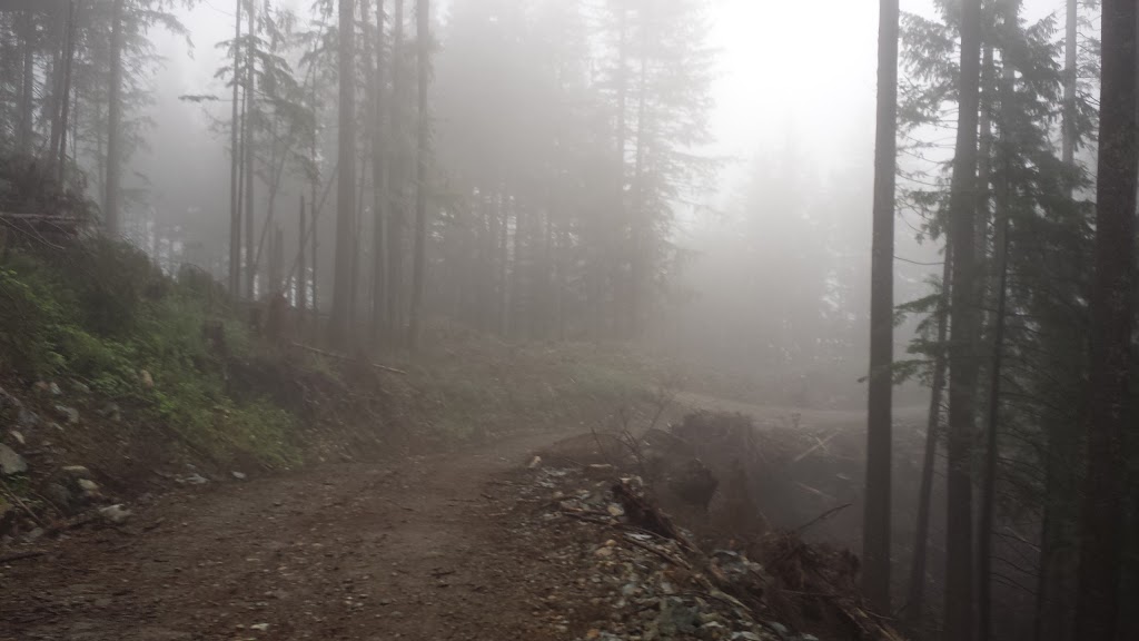 Cabin At Dewdney Grind. | Dewdney Grind, Fraser Valley G, BC V2V 7K6, Canada