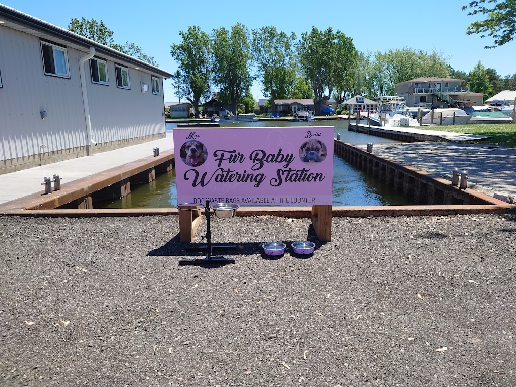 Old Cut Dairy Bar | 17 Rogers Ave, Port Rowan, ON N0E 1M0, Canada | Phone: (226) 398-1234