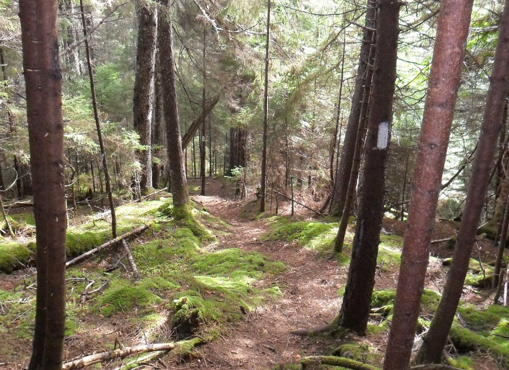 Goose Creek - UNESCO Fundy Biosphere Reserve Amazing Place | Saint Martins Parish, NB E5R, Canada | Phone: (506) 874-3272