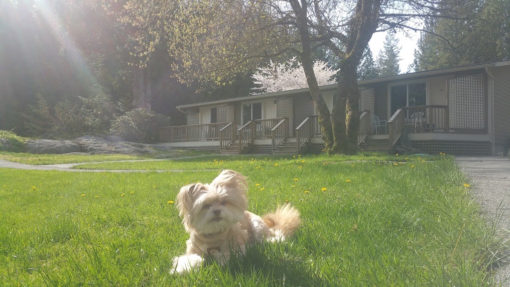 The Stonewater Motel LTD | 13483 Sunshine Coast Hwy, Madeira Park, BC V0N 2H1, Canada | Phone: (604) 883-0046