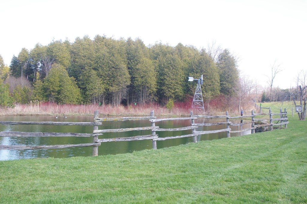 Cedar Haven Eco-Centre | 1039 97, Freelton, ON L0R 1K0, Canada | Phone: (888) 953-9275