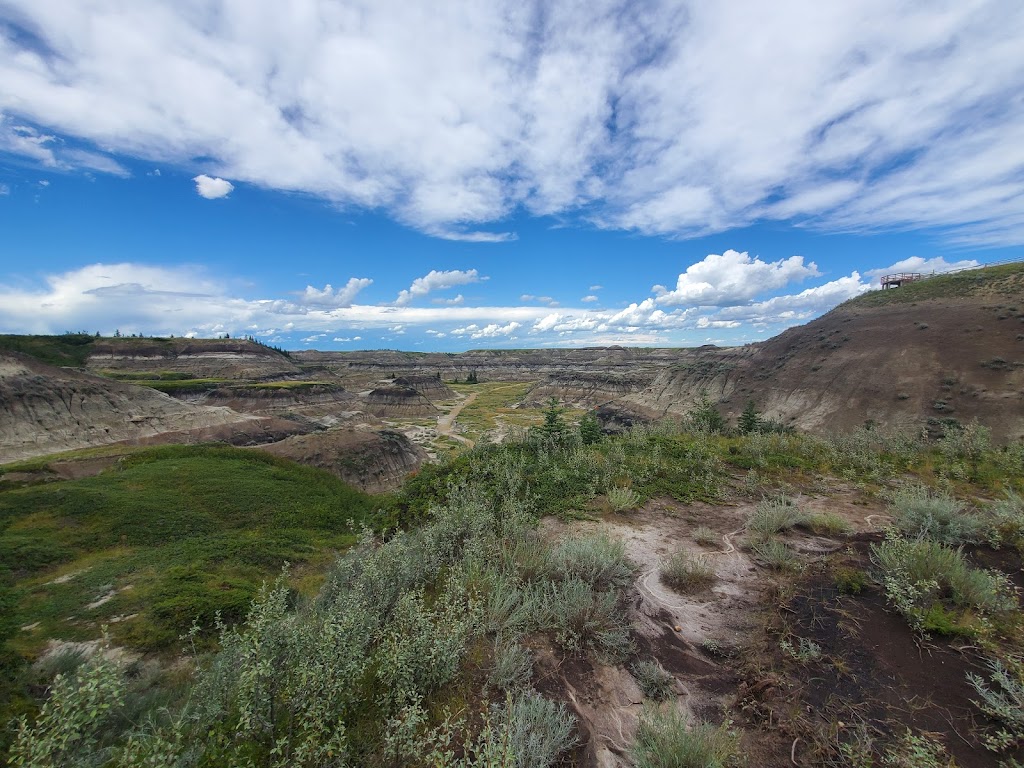 Horseshoe Canyon | museum | Township Rd 284, AB T0M 2A0, Canada | 4034435541 OR +1 403-443-5541