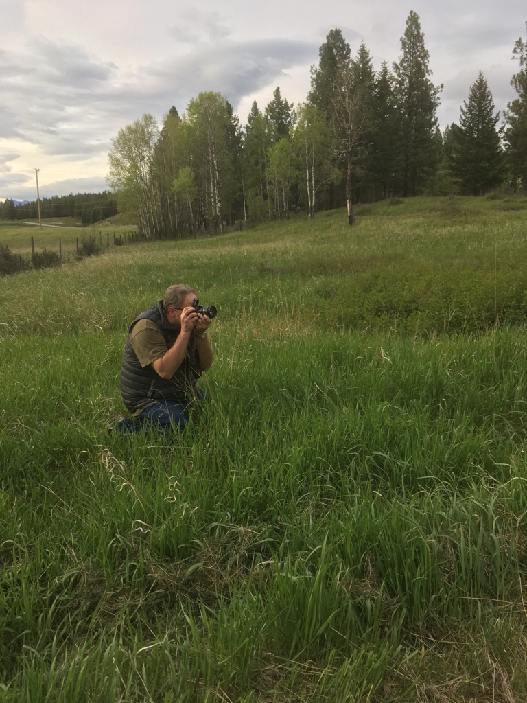 Wild Horse Creek Press | 3212 6th St S, Cranbrook, BC V1C 6L9, Canada | Phone: (250) 420-7408