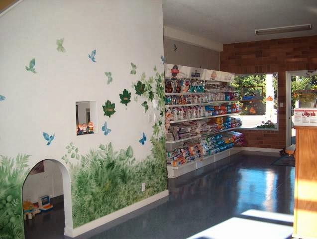 Parksville Animal Hospital | 255 Island Hwy E, Parksville, BC V9P 2G3, Canada | Phone: (250) 248-8318